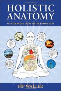 holisticanatomy